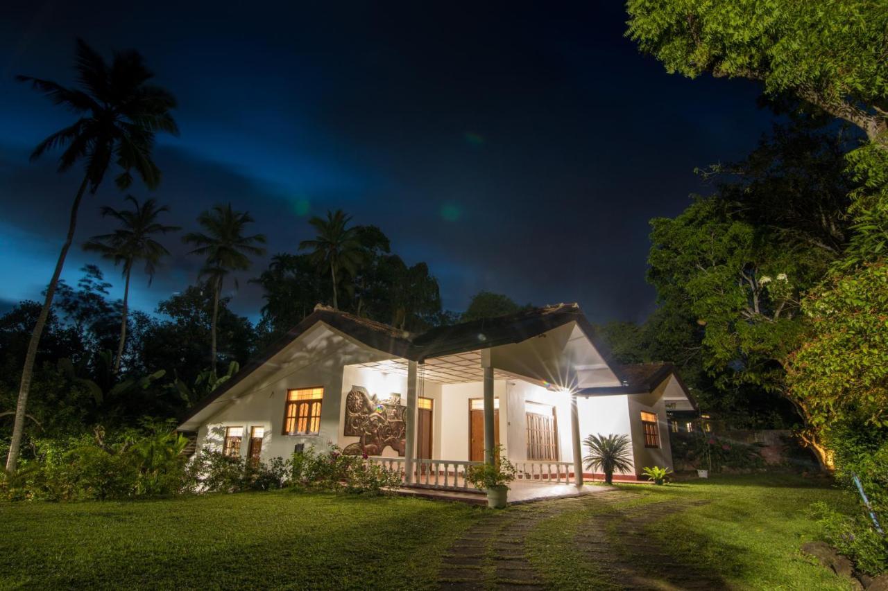 Hikkanest Hikkaduwa Exteriér fotografie