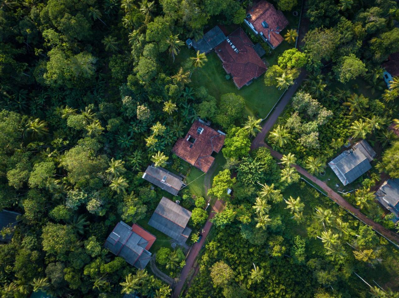 Hikkanest Hikkaduwa Exteriér fotografie